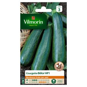 Courgette Bélor HF1 - Graines d'Exception